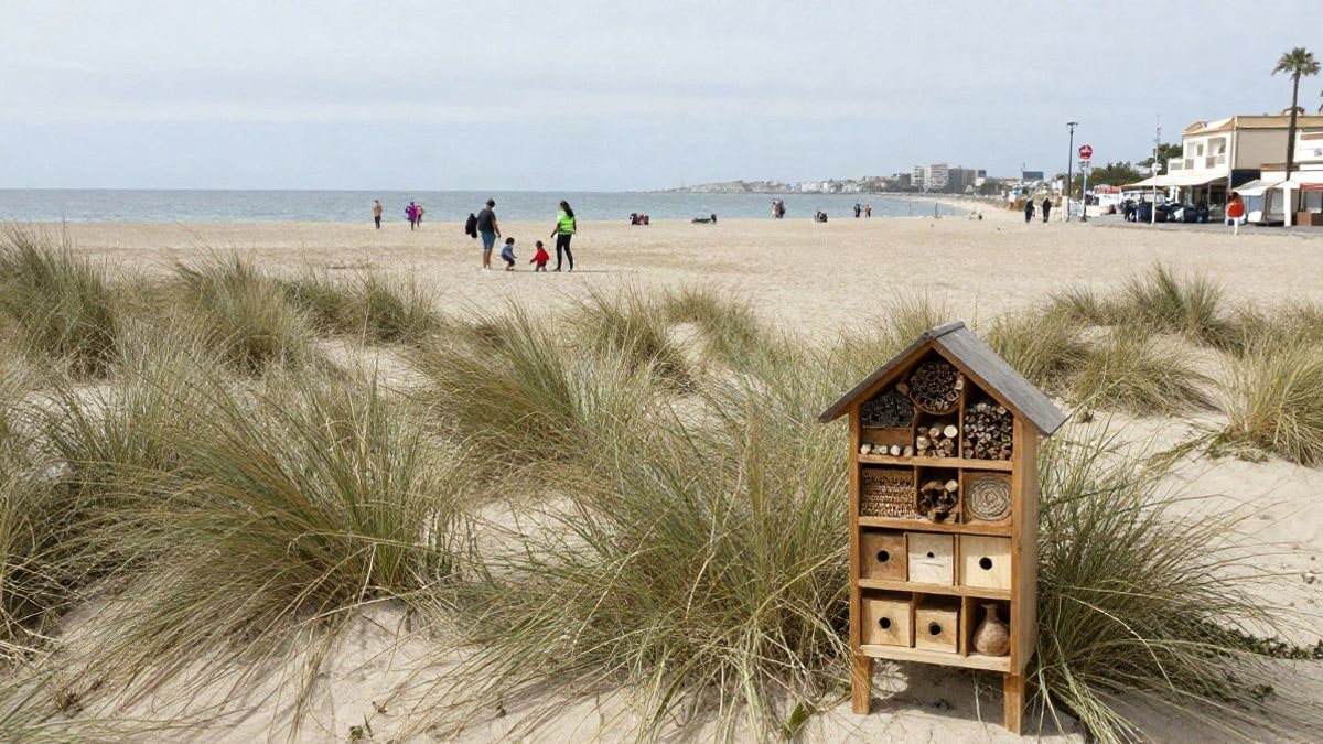 Imagen ilustrativa: un hotel de insectos de madera en la arena de una playa, con vegetación de dunas al fondo