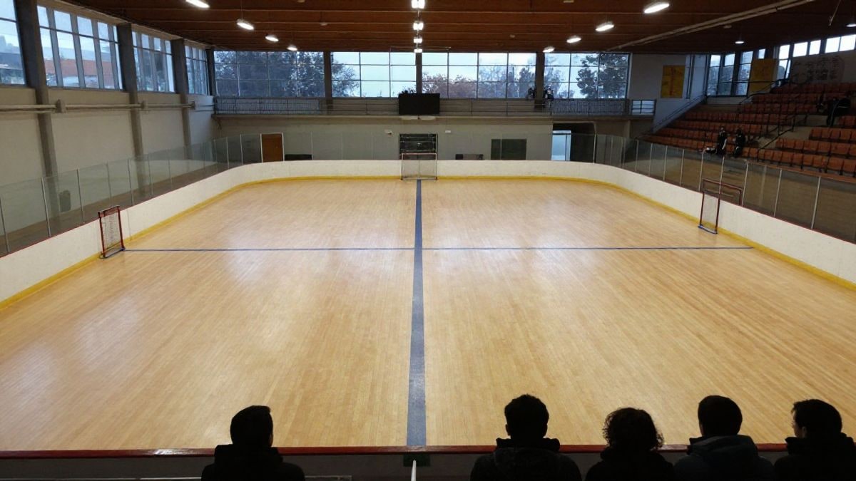 Imagen ilustrativa: una pista de hockey sobre patines vacía vista desde las gradas, con las líneas del suelo y las porterías al fondo.