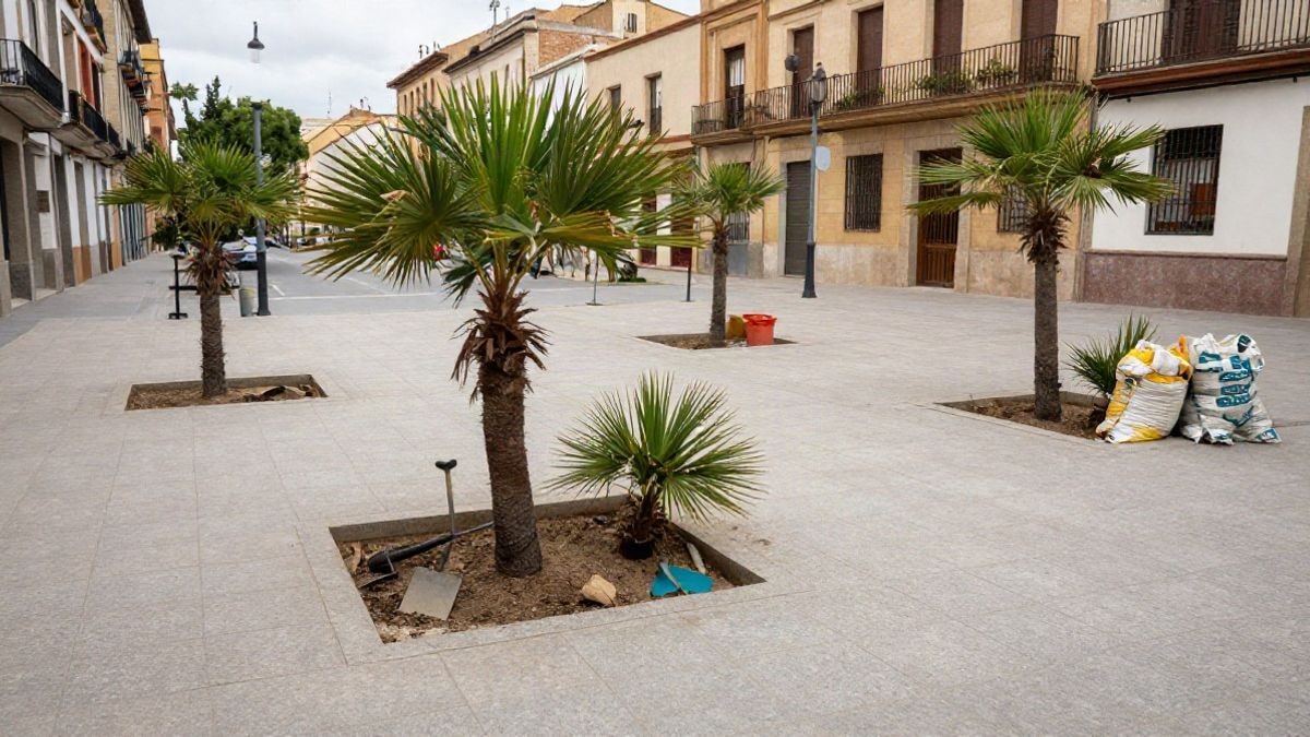 Imagen ilustrativa: alcorques vacíos en una plaza urbana con palmeras preparadas para plantar