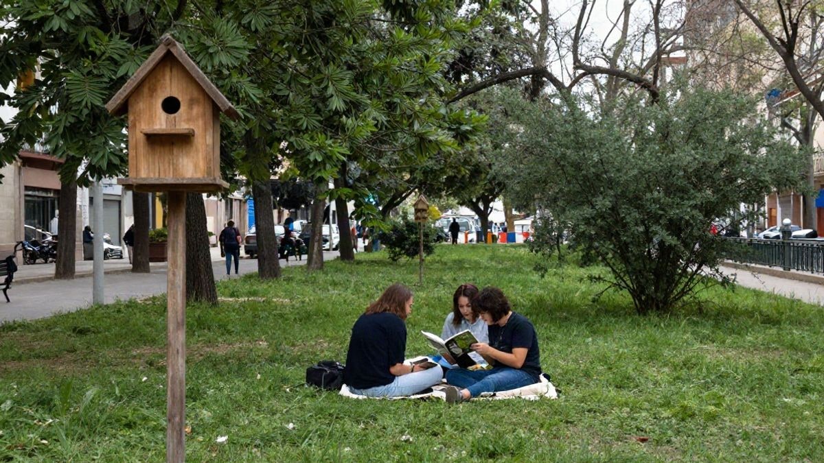 Imagen ilustrativa: grupo de niños y adultos de espaldas sentados en una manta en un parque con una caja nido en un árbol.