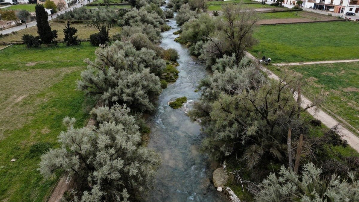 Imagen ilustrativa: vista cenital de un curso fluvial con vegetación de ribera y zonas verdes