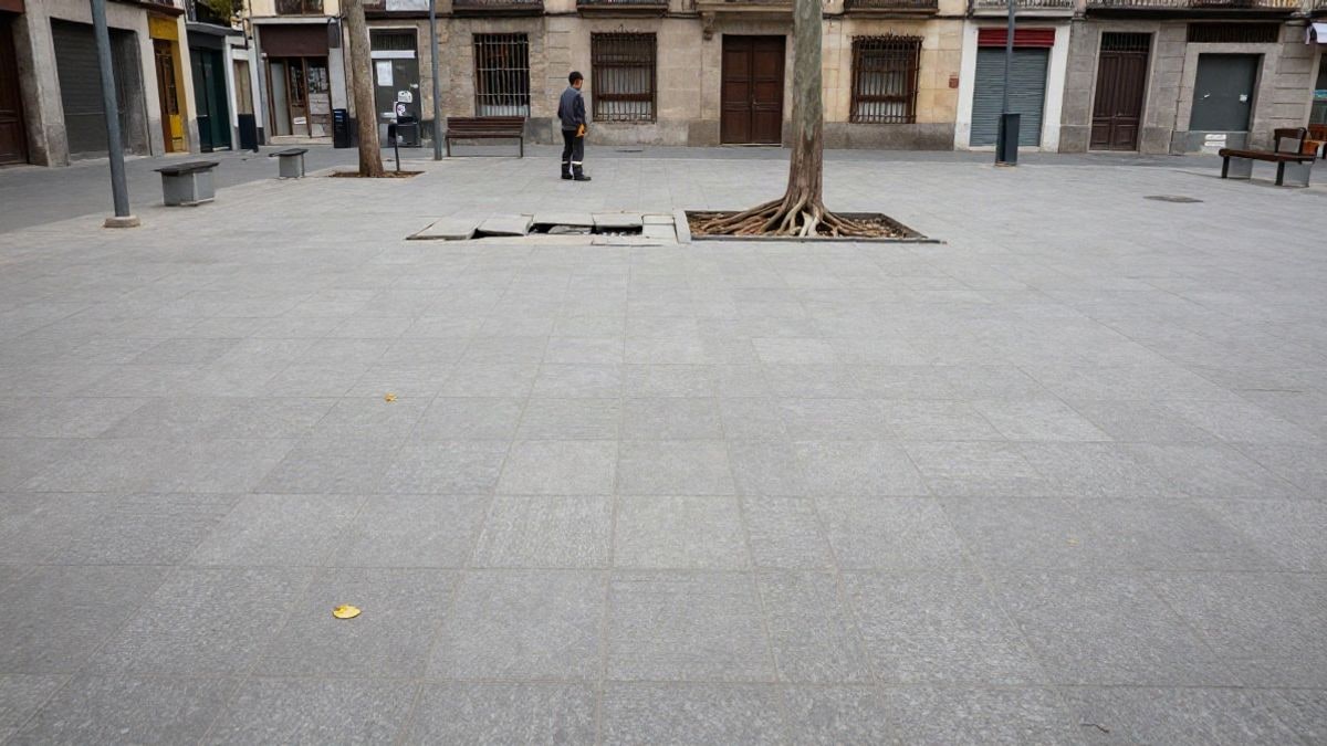 Imagen ilustrativa: una plaza urbana con pavimento levantado y un alcorque con raíces al descubierto