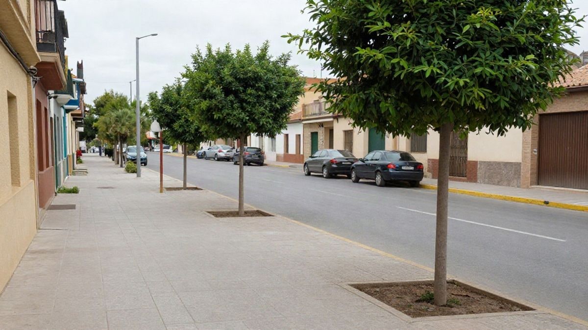 Imagen ilustrativa: calle urbana con alcorques vacíos en una acera, sin personas
