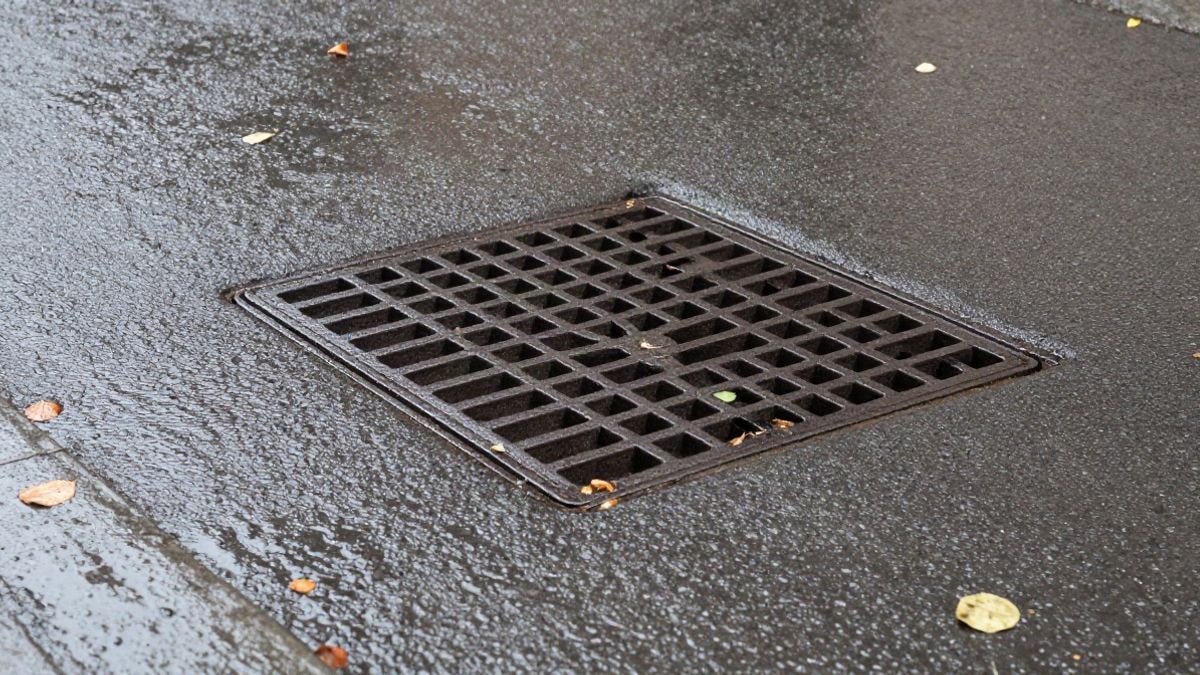 Imagen ilustrativa: detalle de asfalto mojado con hojas y una rejilla de alcantarillado bajo la lluvia