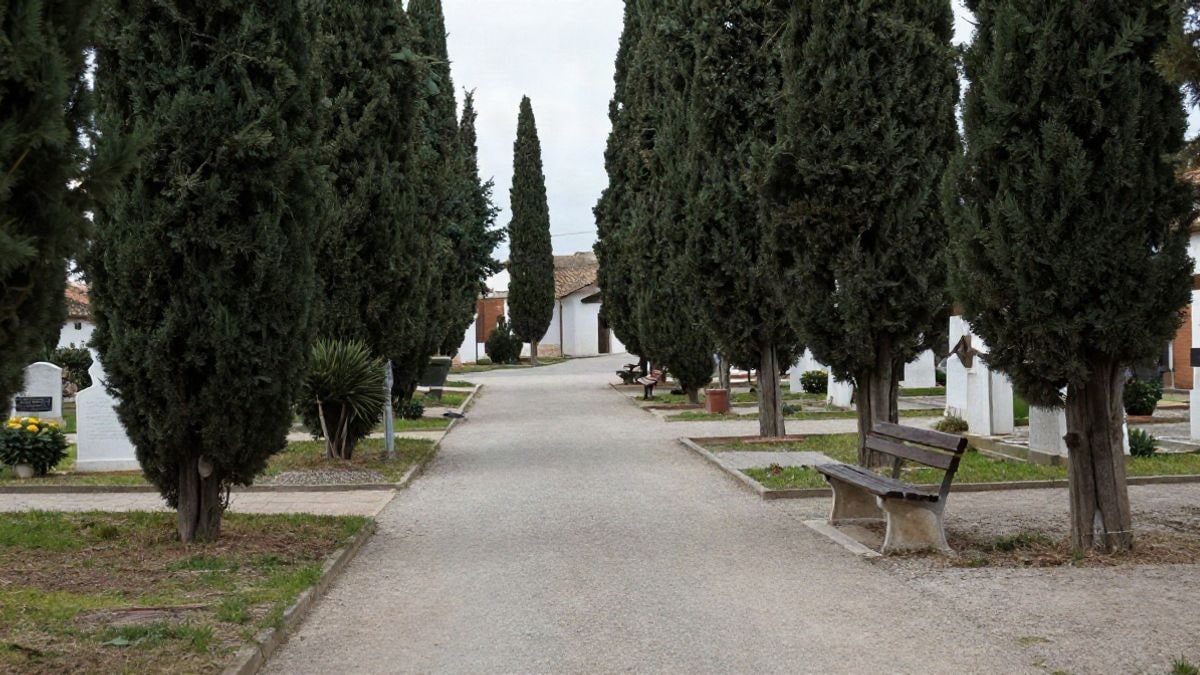 Imagen ilustrativa: camino de un cementerio municipal con cipreses y bancos vacíos, en un día nublado