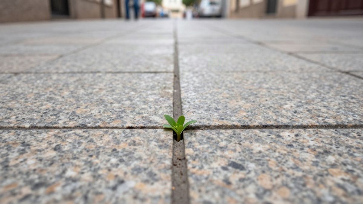 Imagen ilustrativa: primer plano de una losa de granito con una pequeña planta brotando en la junta