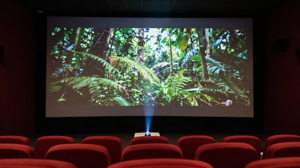 Imagen ilustrativa: pantalla de cine con imagen de selva amazónica y butacas vacías en un auditorio a oscuras.